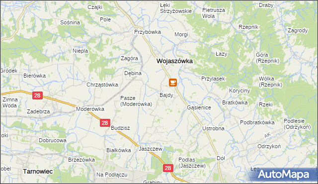 mapa Bajdy gmina Wojaszówka, Bajdy gmina Wojaszówka na mapie Targeo
