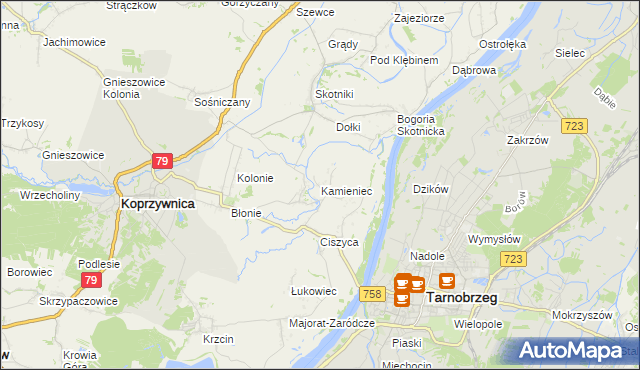 mapa Kamieniec gmina Koprzywnica, Kamieniec gmina Koprzywnica na mapie Targeo