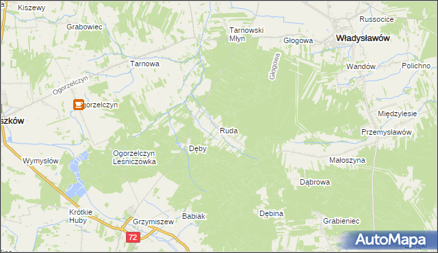 mapa Ruda gmina Tuliszków, Ruda gmina Tuliszków na mapie Targeo