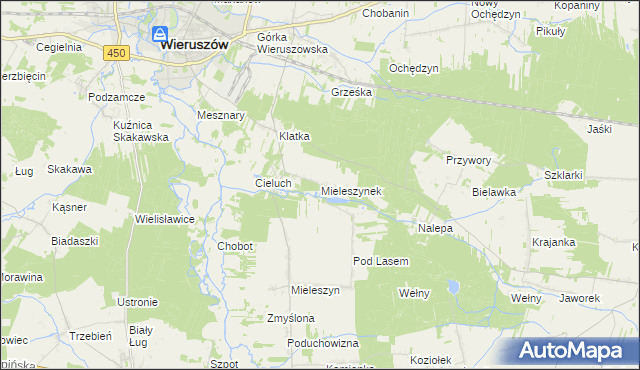 mapa Mieleszynek, Mieleszynek na mapie Targeo