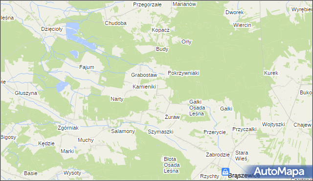 mapa Trzcinka gmina Brąszewice, Trzcinka gmina Brąszewice na mapie Targeo