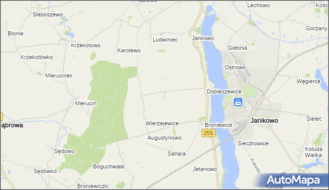 mapa Dobieszewiczki, Dobieszewiczki na mapie Targeo
