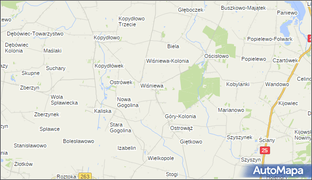 mapa Góry gmina Wilczyn, Góry gmina Wilczyn na mapie Targeo