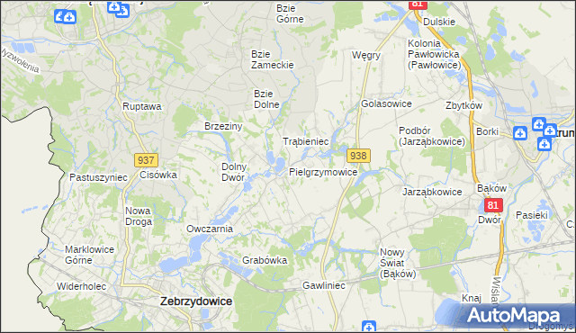 mapa Pielgrzymowice gmina Pawłowice, Pielgrzymowice gmina Pawłowice na mapie Targeo