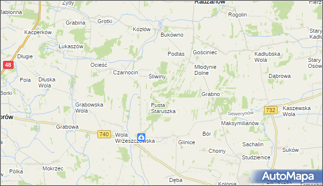 mapa Witoldów gmina Przytyk, Witoldów gmina Przytyk na mapie Targeo