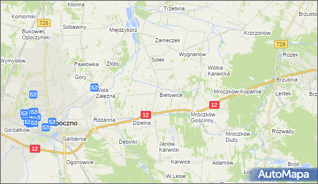 mapa Bielowice gmina Opoczno, Bielowice gmina Opoczno na mapie Targeo