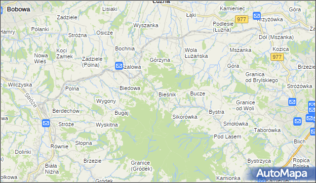 mapa Bieśnik gmina Łużna, Bieśnik gmina Łużna na mapie Targeo