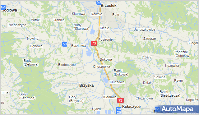 mapa Bukowa gmina Brzostek, Bukowa gmina Brzostek na mapie Targeo