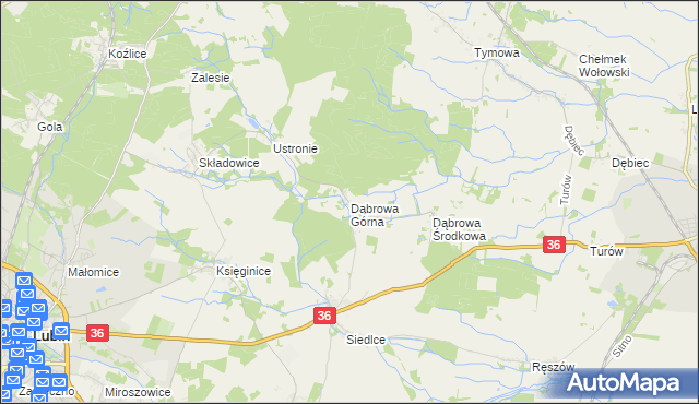 mapa Dąbrowa Górna gmina Lubin, Dąbrowa Górna gmina Lubin na mapie Targeo