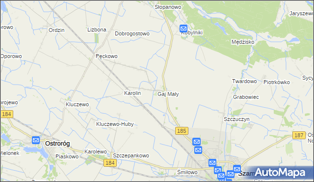 mapa Gaj Mały gmina Obrzycko, Gaj Mały gmina Obrzycko na mapie Targeo
