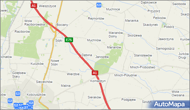 mapa Janiszew gmina Strzelce, Janiszew gmina Strzelce na mapie Targeo