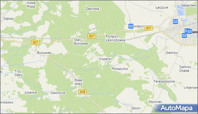 mapa Kopanki gmina Opalenica, Kopanki gmina Opalenica na mapie Targeo