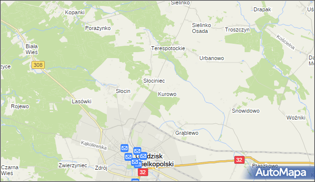 mapa Kurowo gmina Grodzisk Wielkopolski, Kurowo gmina Grodzisk Wielkopolski na mapie Targeo