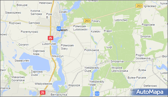 mapa Piotrkowice gmina Ślesin, Piotrkowice gmina Ślesin na mapie Targeo