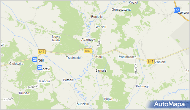 mapa Ptaki gmina Turośl, Ptaki gmina Turośl na mapie Targeo