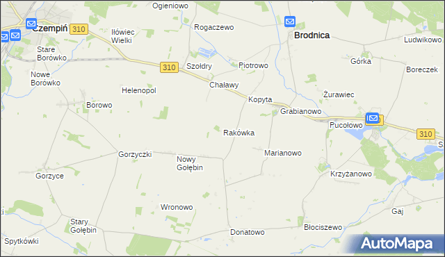 mapa Rakówka gmina Czempiń, Rakówka gmina Czempiń na mapie Targeo