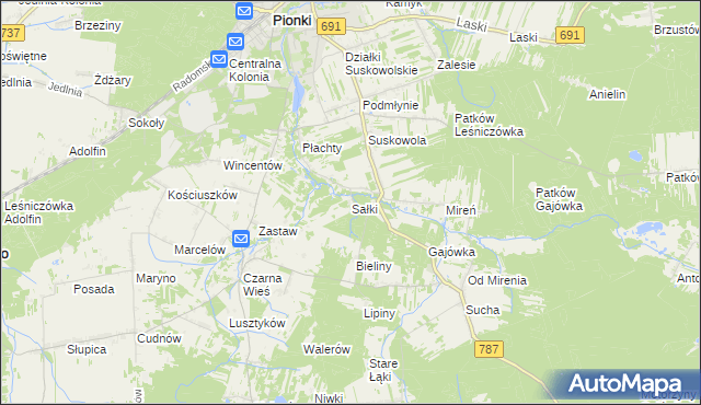 mapa Sałki gmina Pionki, Sałki gmina Pionki na mapie Targeo