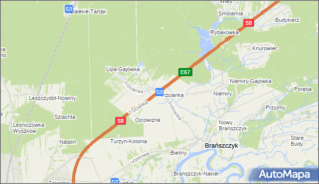 mapa Trzcianka gmina Brańszczyk, Trzcianka gmina Brańszczyk na mapie Targeo