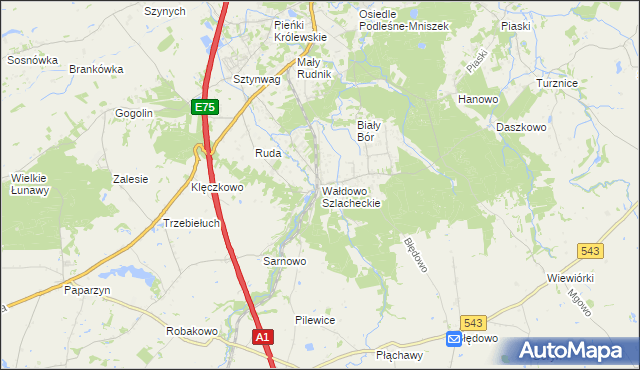 mapa Wałdowo Szlacheckie, Wałdowo Szlacheckie na mapie Targeo