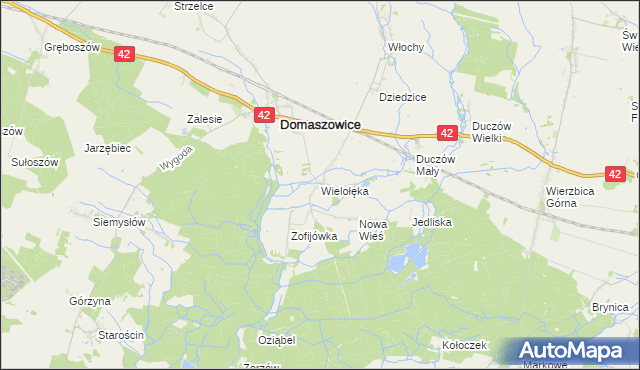 mapa Wielołęka gmina Domaszowice, Wielołęka gmina Domaszowice na mapie Targeo