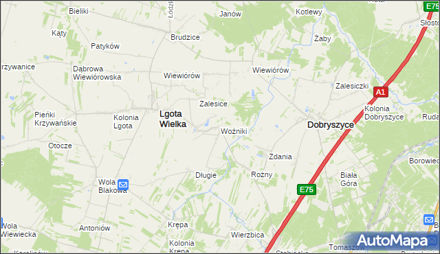 mapa Woźniki gmina Lgota Wielka, Woźniki gmina Lgota Wielka na mapie Targeo