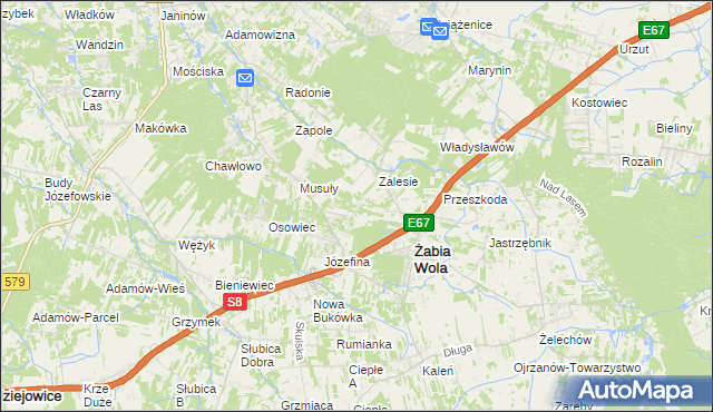 mapa Wycinki Osowskie, Wycinki Osowskie na mapie Targeo