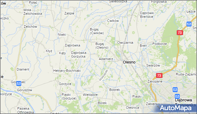 mapa Adamierz gmina Olesno, Adamierz gmina Olesno na mapie Targeo