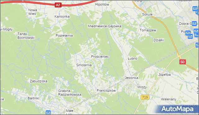 mapa Antoniew gmina Wiskitki, Antoniew gmina Wiskitki na mapie Targeo
