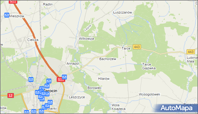 mapa Bachorzew, Bachorzew na mapie Targeo