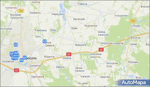 mapa Bielowice gmina Opoczno, Bielowice gmina Opoczno na mapie Targeo