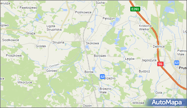 mapa Borówek gmina Prusice, Borówek gmina Prusice na mapie Targeo