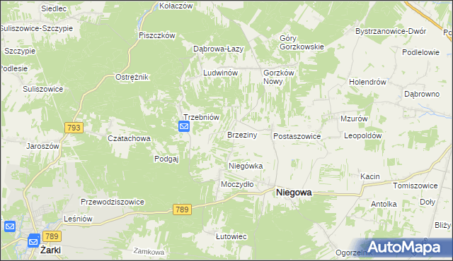 mapa Brzeziny gmina Niegowa, Brzeziny gmina Niegowa na mapie Targeo