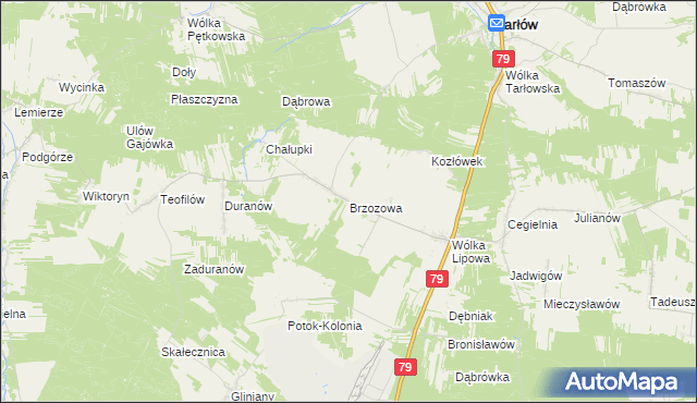 mapa Brzozowa gmina Tarłów, Brzozowa gmina Tarłów na mapie Targeo