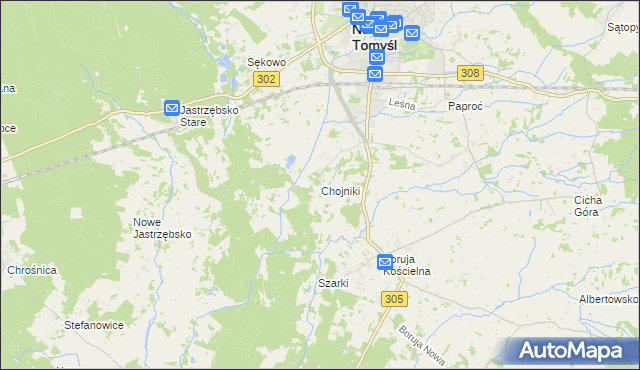mapa Chojniki gmina Nowy Tomyśl, Chojniki gmina Nowy Tomyśl na mapie Targeo