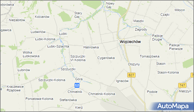 mapa Cyganówka gmina Wojciechów, Cyganówka gmina Wojciechów na mapie Targeo