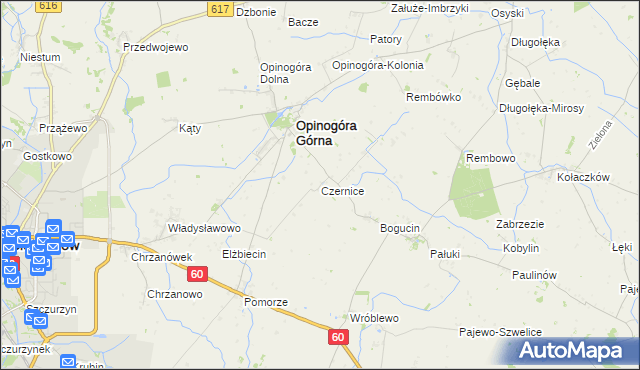 mapa Czernice gmina Opinogóra Górna, Czernice gmina Opinogóra Górna na mapie Targeo