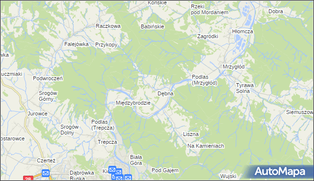 mapa Dębna gmina Sanok, Dębna gmina Sanok na mapie Targeo