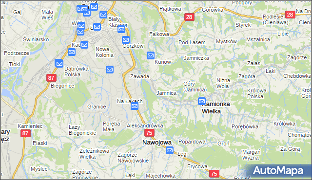 mapa Jamnica gmina Kamionka Wielka, Jamnica gmina Kamionka Wielka na mapie Targeo