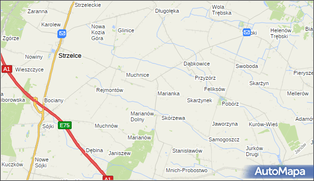 mapa Marianka gmina Strzelce, Marianka gmina Strzelce na mapie Targeo