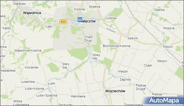 mapa Nowy Gaj gmina Wojciechów, Nowy Gaj gmina Wojciechów na mapie Targeo