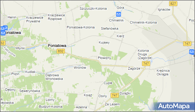 mapa Płowizny, Płowizny na mapie Targeo