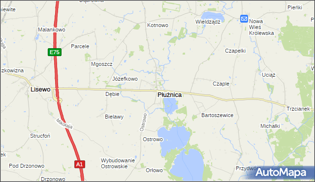 mapa Płużnica, Płużnica na mapie Targeo