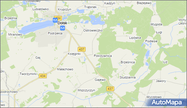 mapa Pokrzywnica gmina Dolsk, Pokrzywnica gmina Dolsk na mapie Targeo