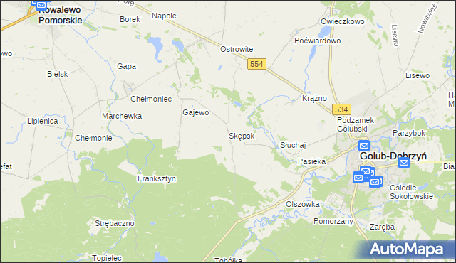 mapa Skępsk, Skępsk na mapie Targeo