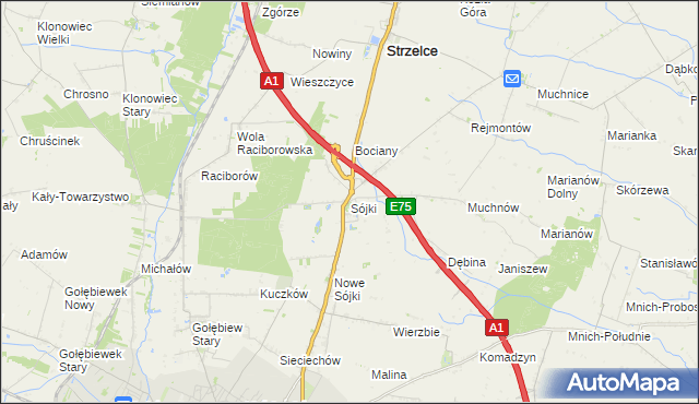 mapa Sójki gmina Strzelce, Sójki gmina Strzelce na mapie Targeo