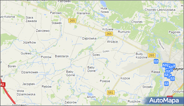 mapa Solec gmina Gostynin, Solec gmina Gostynin na mapie Targeo