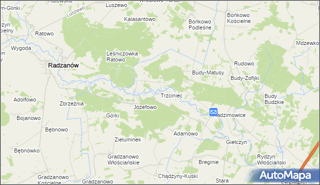 mapa Trzciniec gmina Radzanów, Trzciniec gmina Radzanów na mapie Targeo