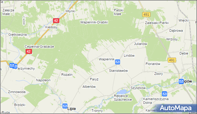 mapa Wapiennik gmina Lipie, Wapiennik gmina Lipie na mapie Targeo