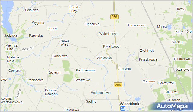 mapa Witkowice gmina Wierzbinek, Witkowice gmina Wierzbinek na mapie Targeo