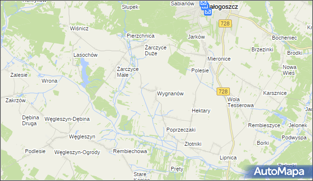 mapa Wygnanów gmina Małogoszcz, Wygnanów gmina Małogoszcz na mapie Targeo